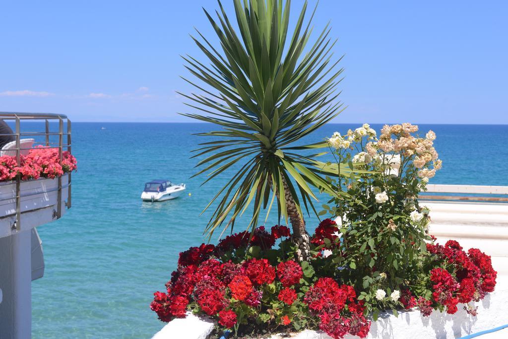 Olympos Beach Plaka Litochorou Exteriör bild