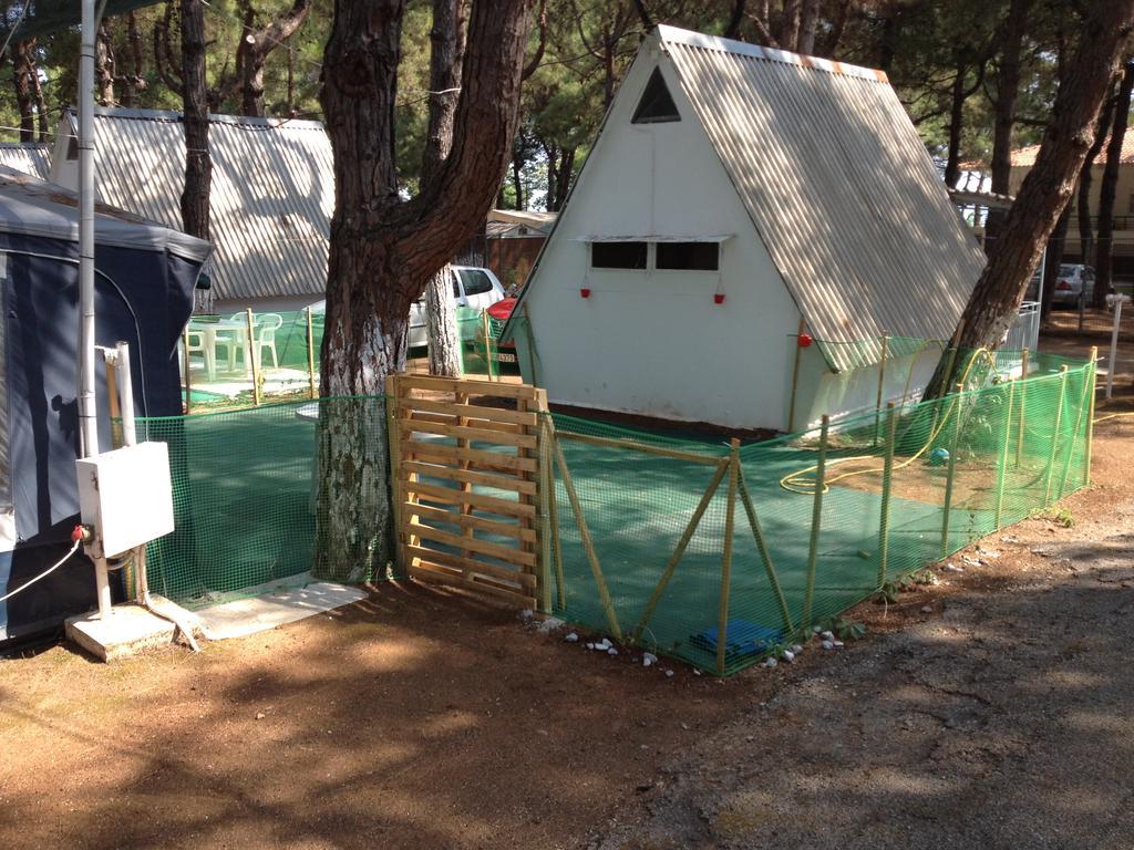 Olympos Beach Plaka Litochorou Exteriör bild