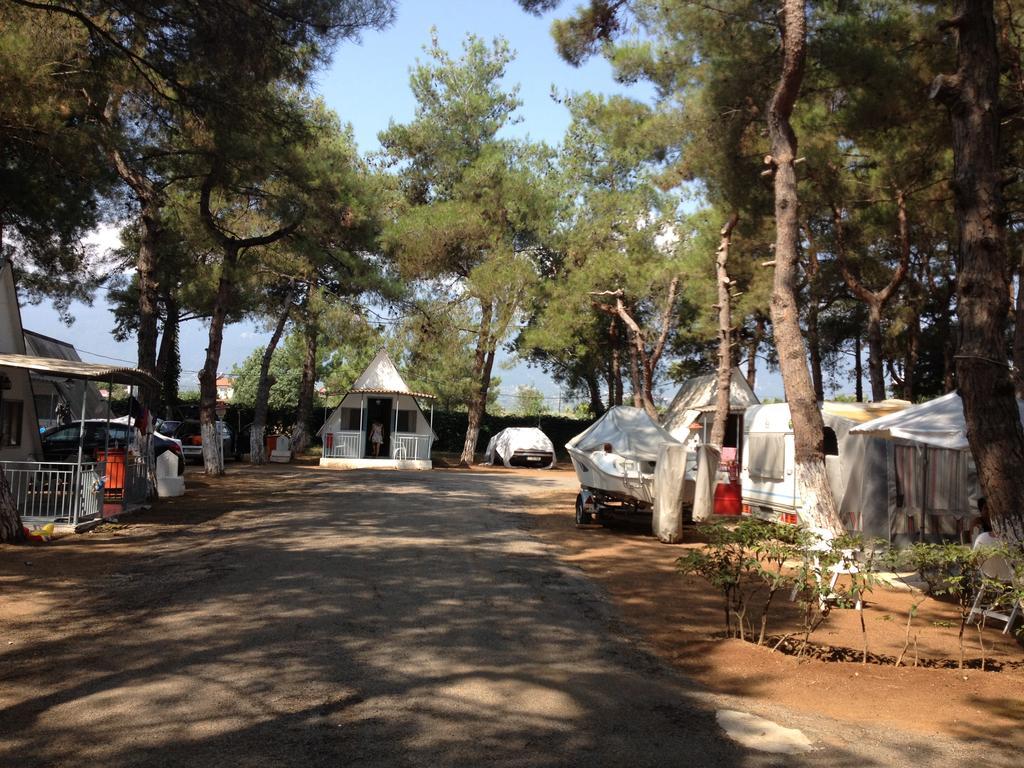 Olympos Beach Plaka Litochorou Exteriör bild