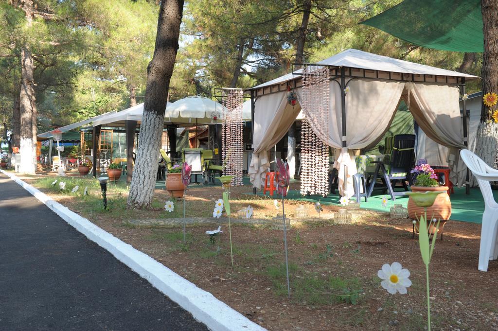 Olympos Beach Plaka Litochorou Exteriör bild