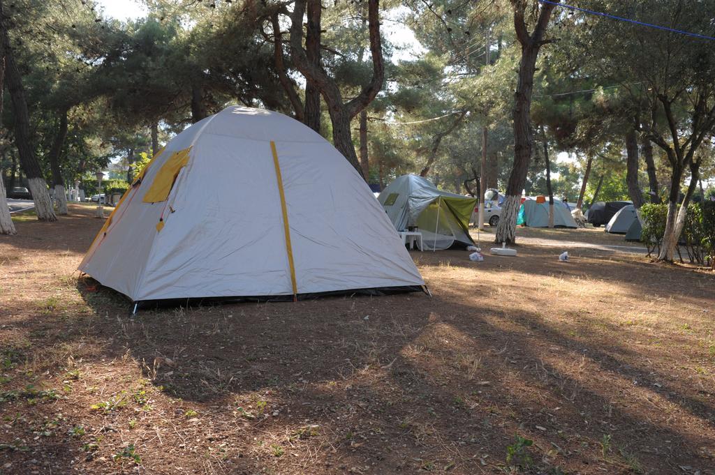 Olympos Beach Plaka Litochorou Exteriör bild