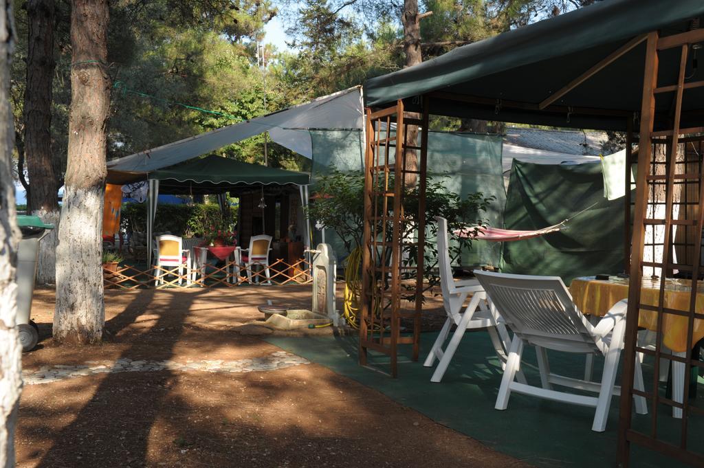 Olympos Beach Plaka Litochorou Exteriör bild
